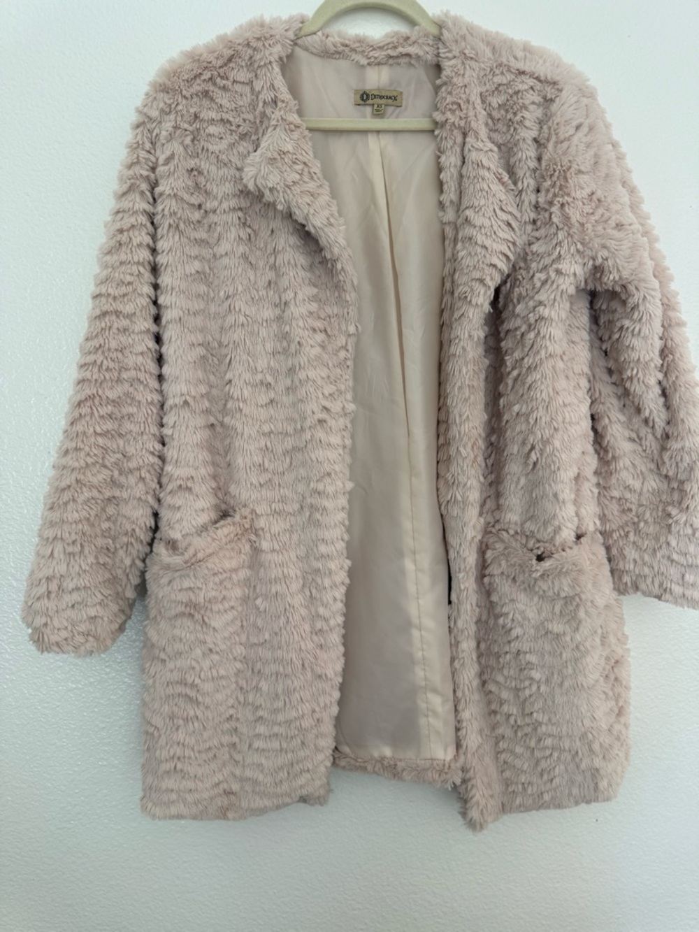 Democracy Women's Teddy Coat in Blush